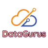 DataGurus LLC